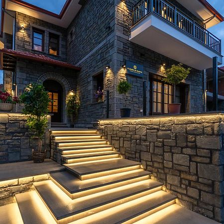 Floara Di Munte Forest Luxury Suites Metsovo Buitenkant foto