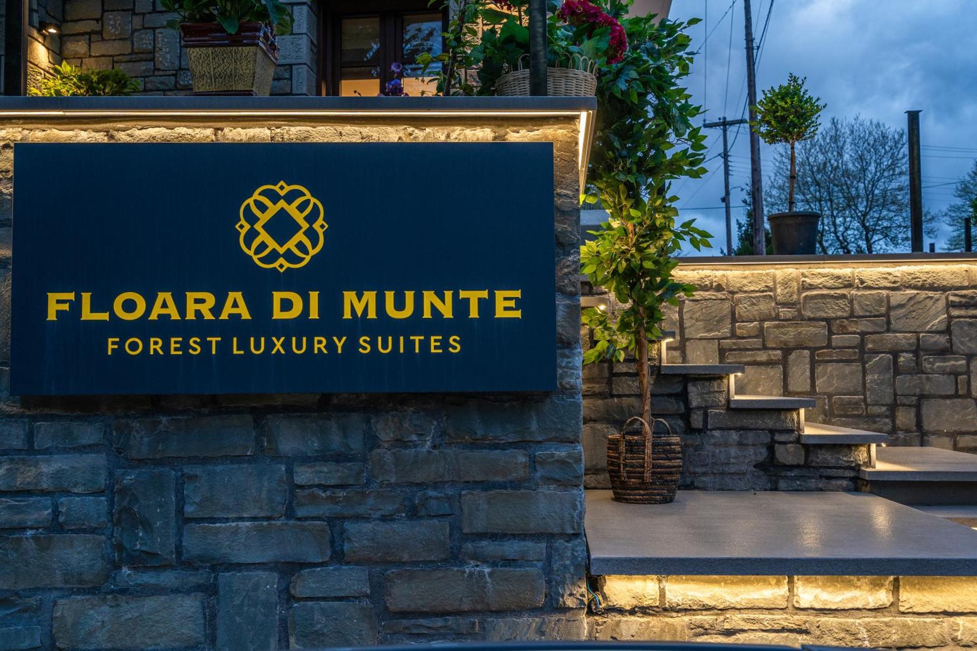 Floara Di Munte Forest Luxury Suites Metsovo Buitenkant foto