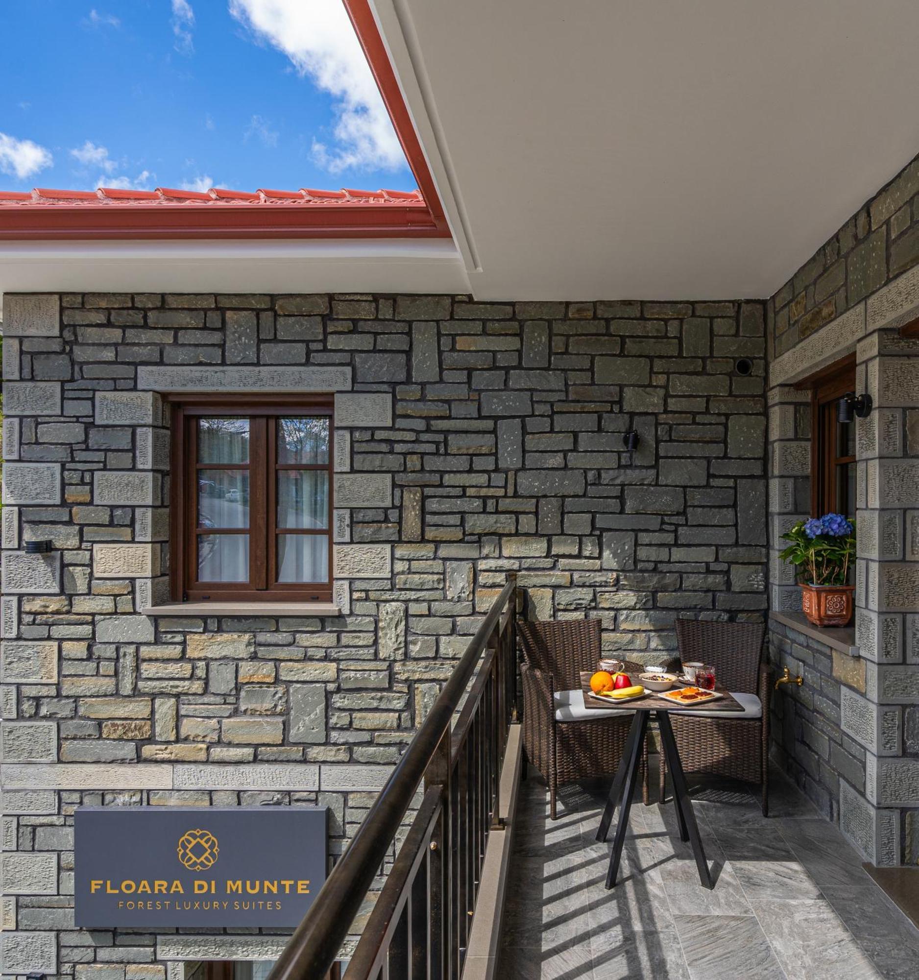 Floara Di Munte Forest Luxury Suites Metsovo Buitenkant foto