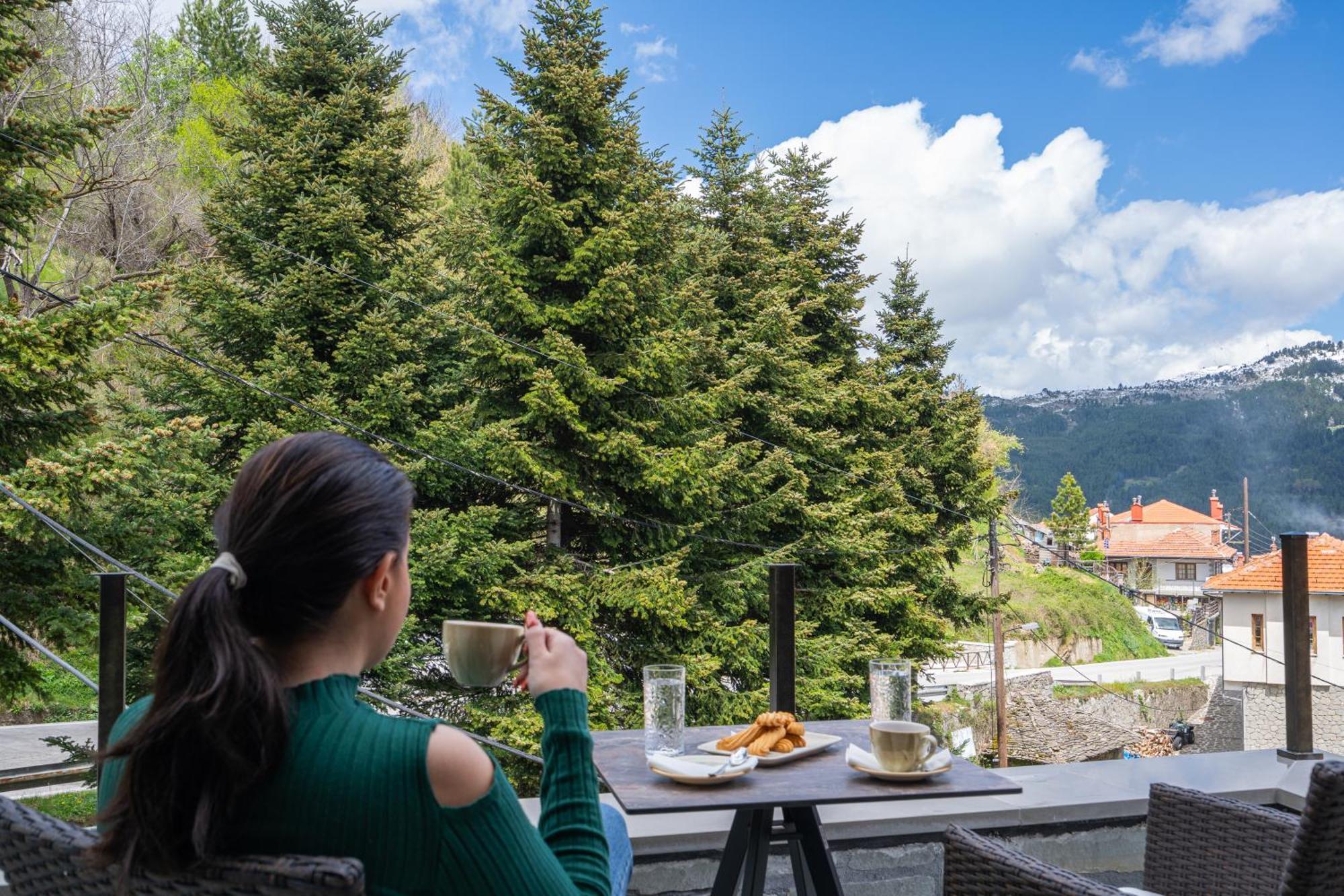 Floara Di Munte Forest Luxury Suites Metsovo Buitenkant foto